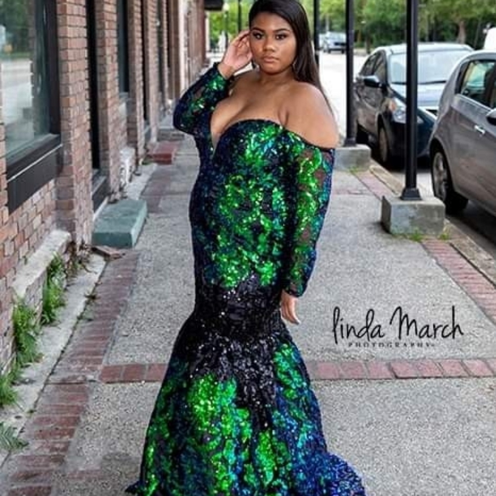 Johnathan Kayne Prom Dress (Sz 14)